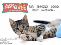 Agro Pet - O Mundo Animal - Pet Shop Em Jundiaí SP