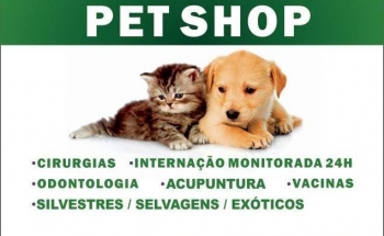 Cat & Au Clínica Veterinária e Pet Shop - Em Jundiai