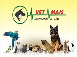 Pet Shop Em São Bernardo Do campo - Vet Mais Pet Shop