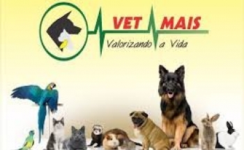 Pet Shop Em São Bernardo Do campo - Vet Mais Pet Shop