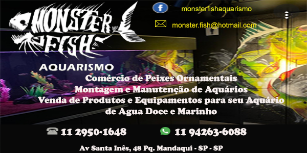 Monster Fish Aquarismo na Zona Norte