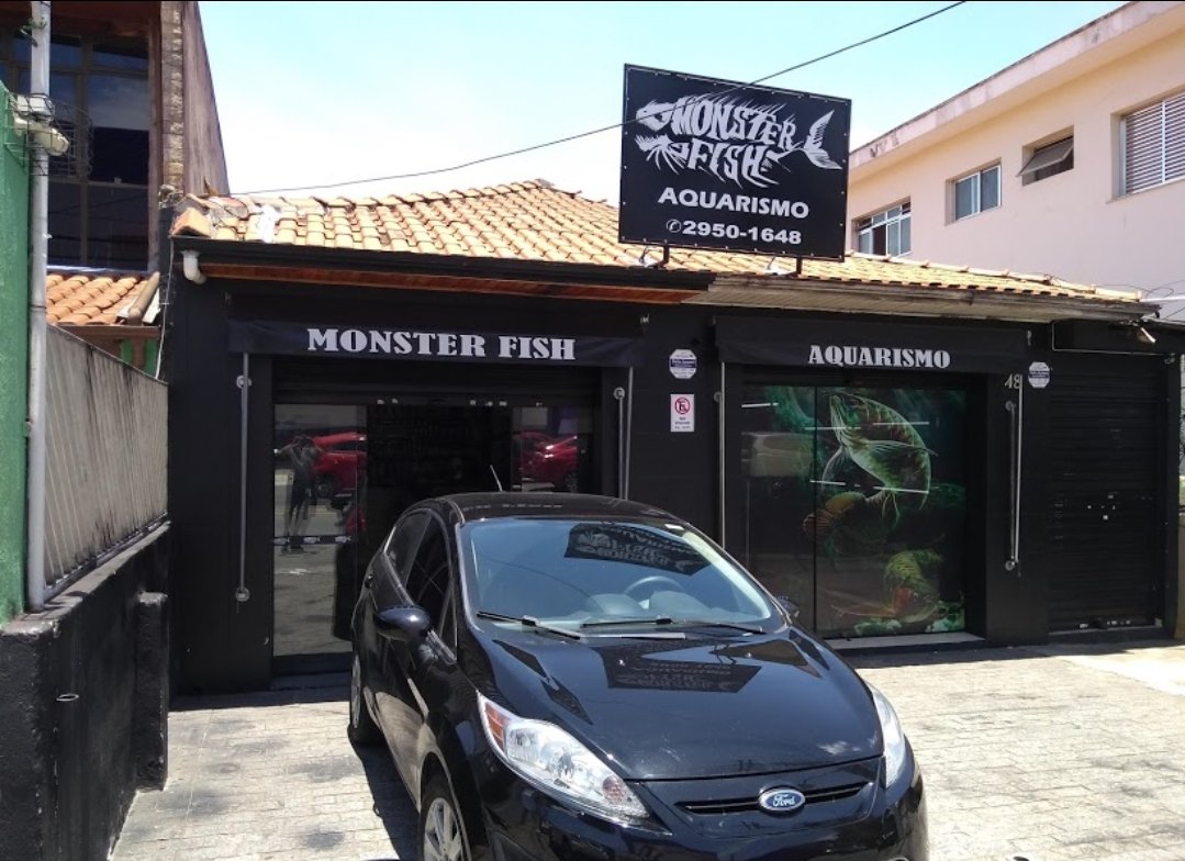 Monster Fish Aquarismo na Zona Norte