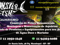 Monster Fish Aquarismo na Zona Norte