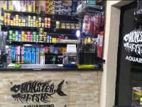 Monster Fish Aquarismo na Zona Norte