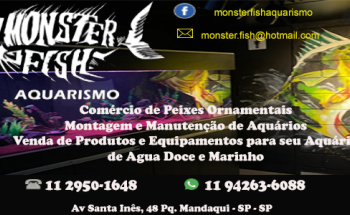 Monster Fish Aquarismo na Zona Norte