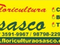 Floricultura Osasco em Osasco