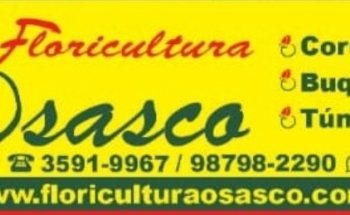 Floricultura Osasco em Osasco