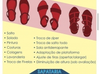 SAPATARIA RAPIDA JOVEM