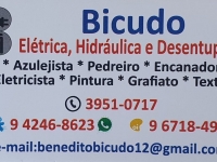 BICUDO REFORMAS ELÉTRICA E HIDRÁULICA