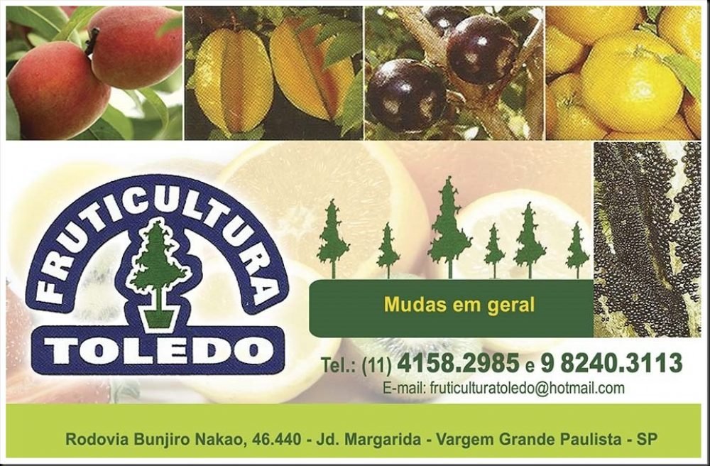 Fruticultura em Vargem Grande Paulista Toledo