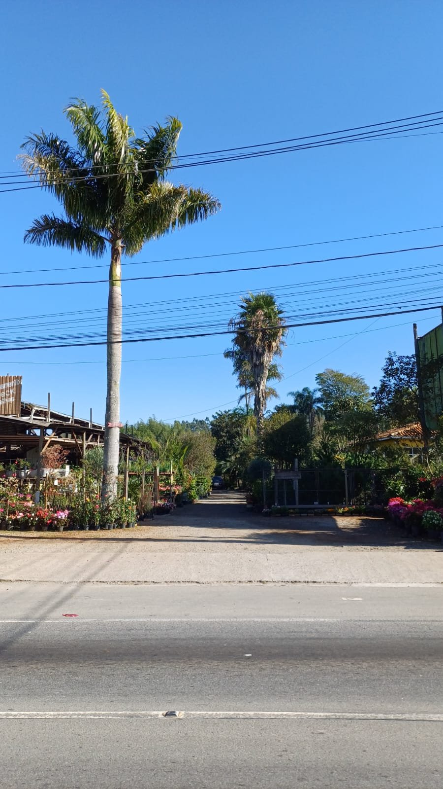 Fruticultura em Vargem Grande Paulista Toledo