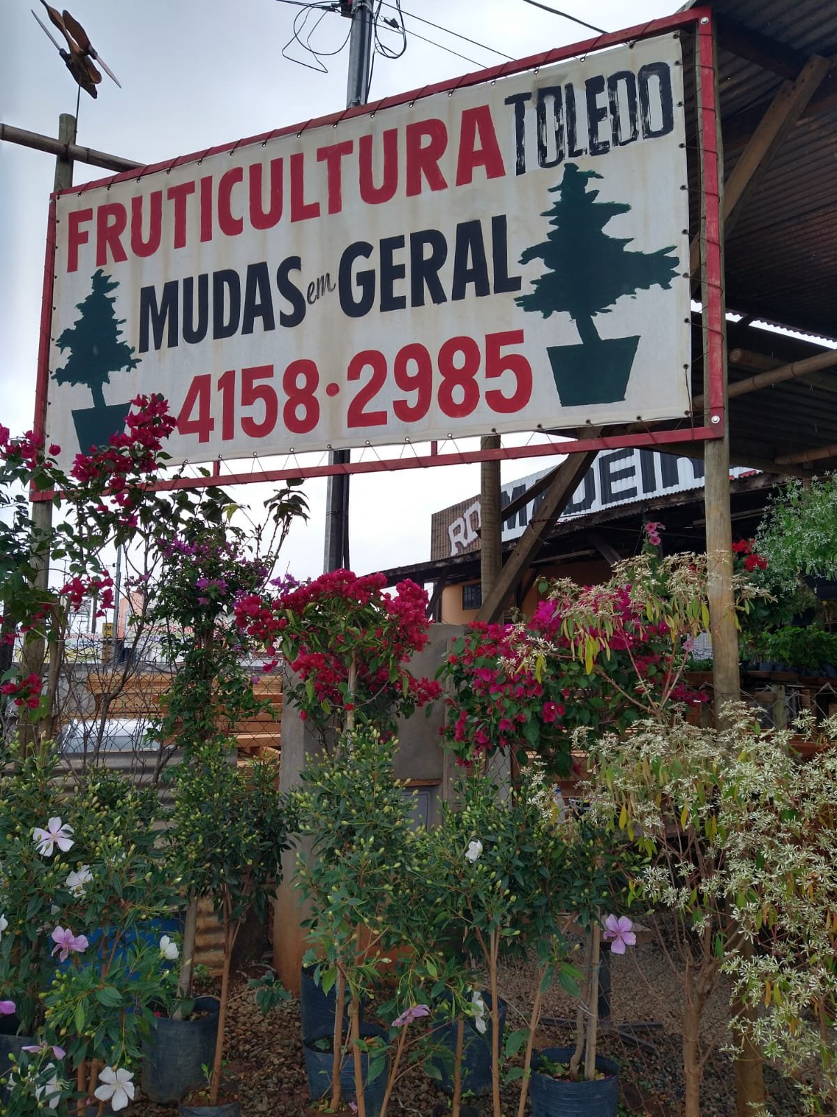Fruticultura em Vargem Grande Paulista Toledo