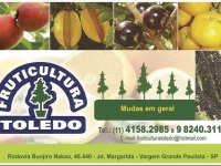 Fruticultura em Vargem Grande Paulista Toledo