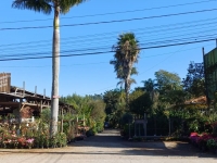 Fruticultura em Vargem Grande Paulista Toledo