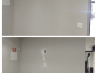 Pinturas High Standard em São Paulo 