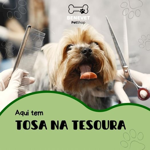 Benevet Pet Shop em Santo André