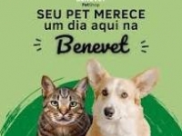 Benevet Pet Shop em Santo André