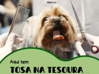 Benevet Pet Shop em Santo André