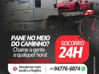 Guinchos Alemão 