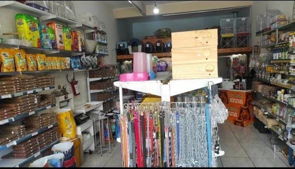 Lucy Pet Shop e Avicultura na Zona Leste