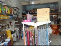 Lucy Pet Shop e Avicultura na Zona Leste