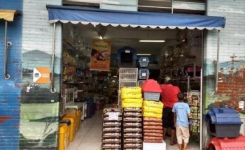 Lucy Pet Shop e Avicultura na Zona Leste