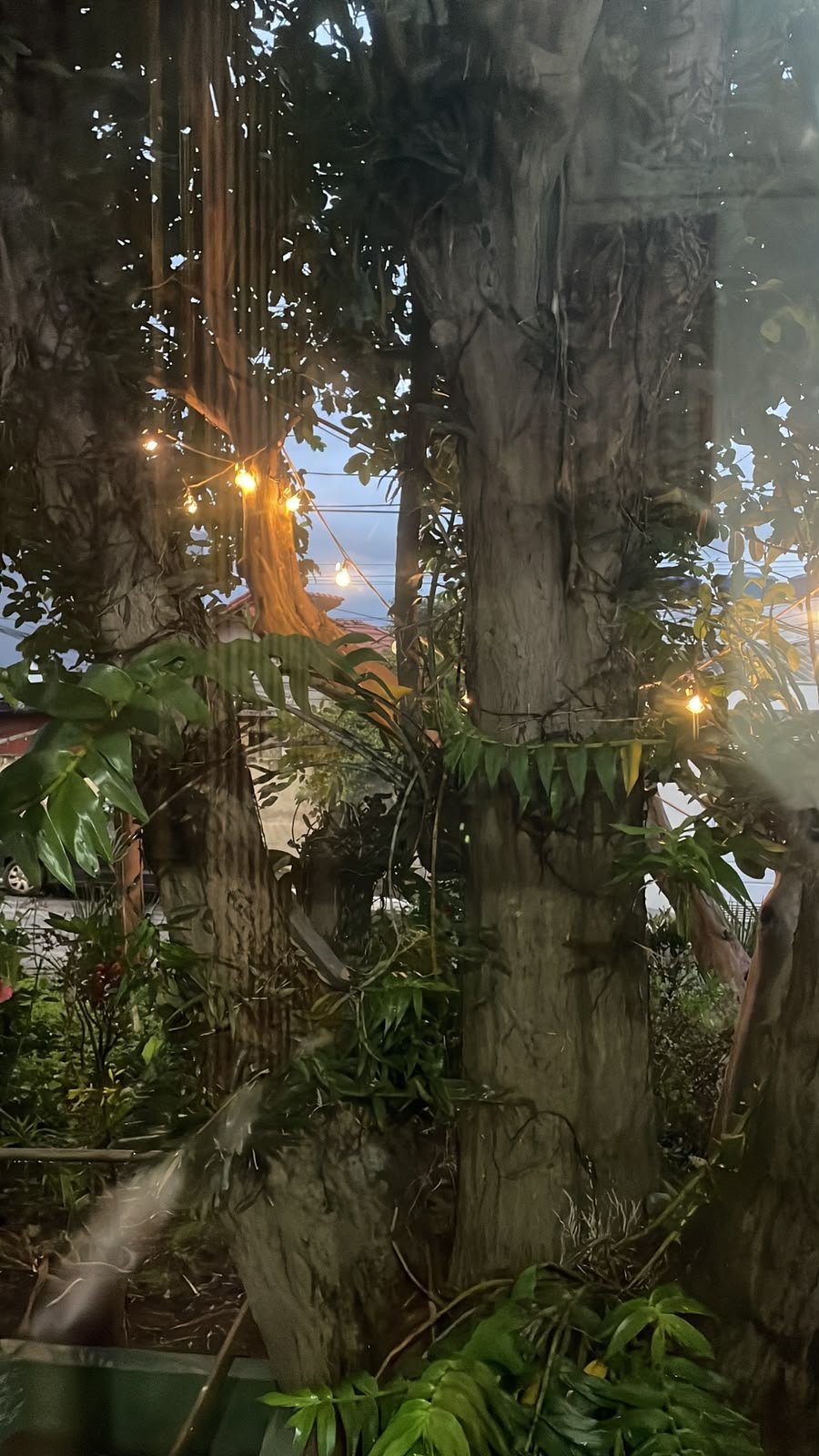A Morada Três Corações Casa de Repouso Na Zona Sul