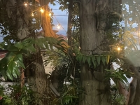A Morada Três Corações Casa de Repouso Na Zona Sul