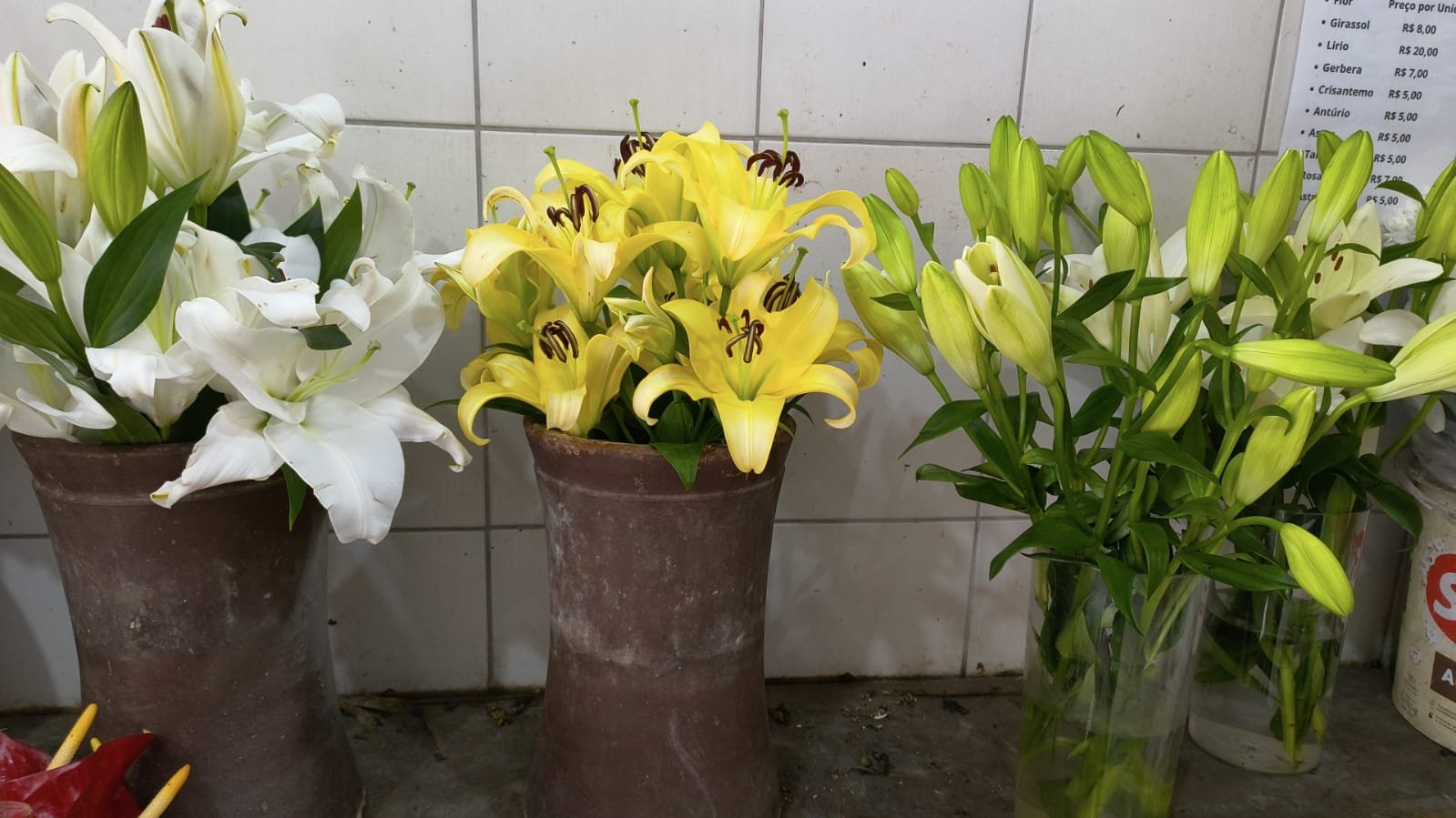Floricultura Osasco 