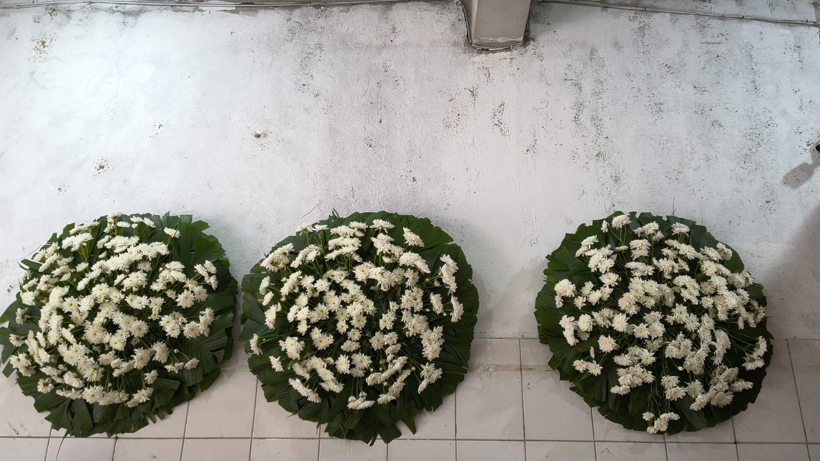 Floricultura Osasco 