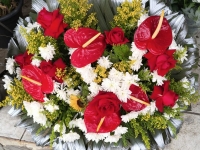 Floricultura Osasco 
