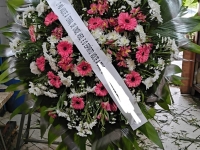 Floricultura Osasco 
