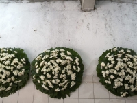 Floricultura Osasco 