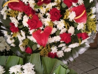 Floricultura Osasco 
