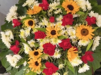 Floricultura Osasco 