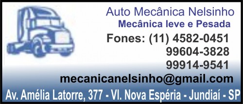 Auto Mecânica Nelsinho