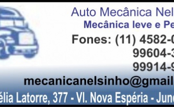 Auto Mecânica Nelsinho