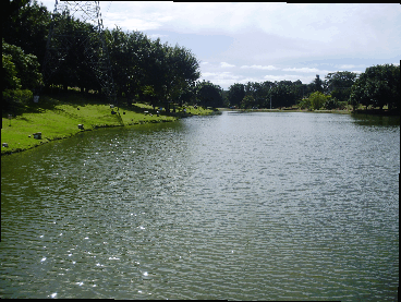 Pesqueiro Peixe Vivo