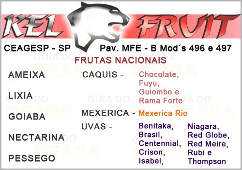 KEL FRUIT <br>em Hortifruti Ceasa São Paulo