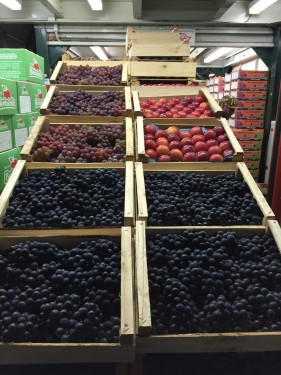 KEL FRUIT <br>em Hortifruti Ceasa São Paulo