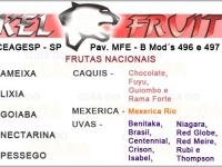 KEL FRUIT <br>em Hortifruti Ceasa São Paulo