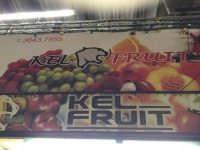 KEL FRUIT <br>em Hortifruti Ceasa São Paulo