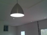 Tulipa Gesso em Osasco