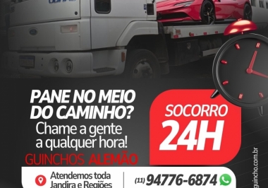  Guinchos Alemão em Jandira